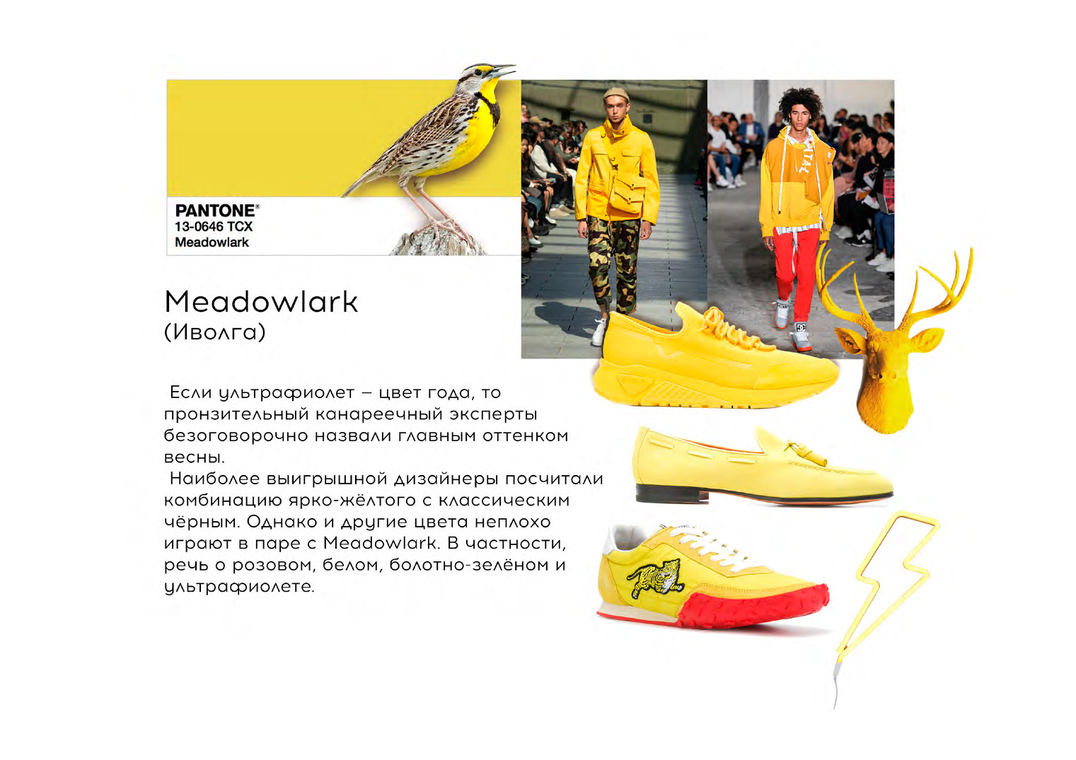 Тренды Весна-Лето 2019-20